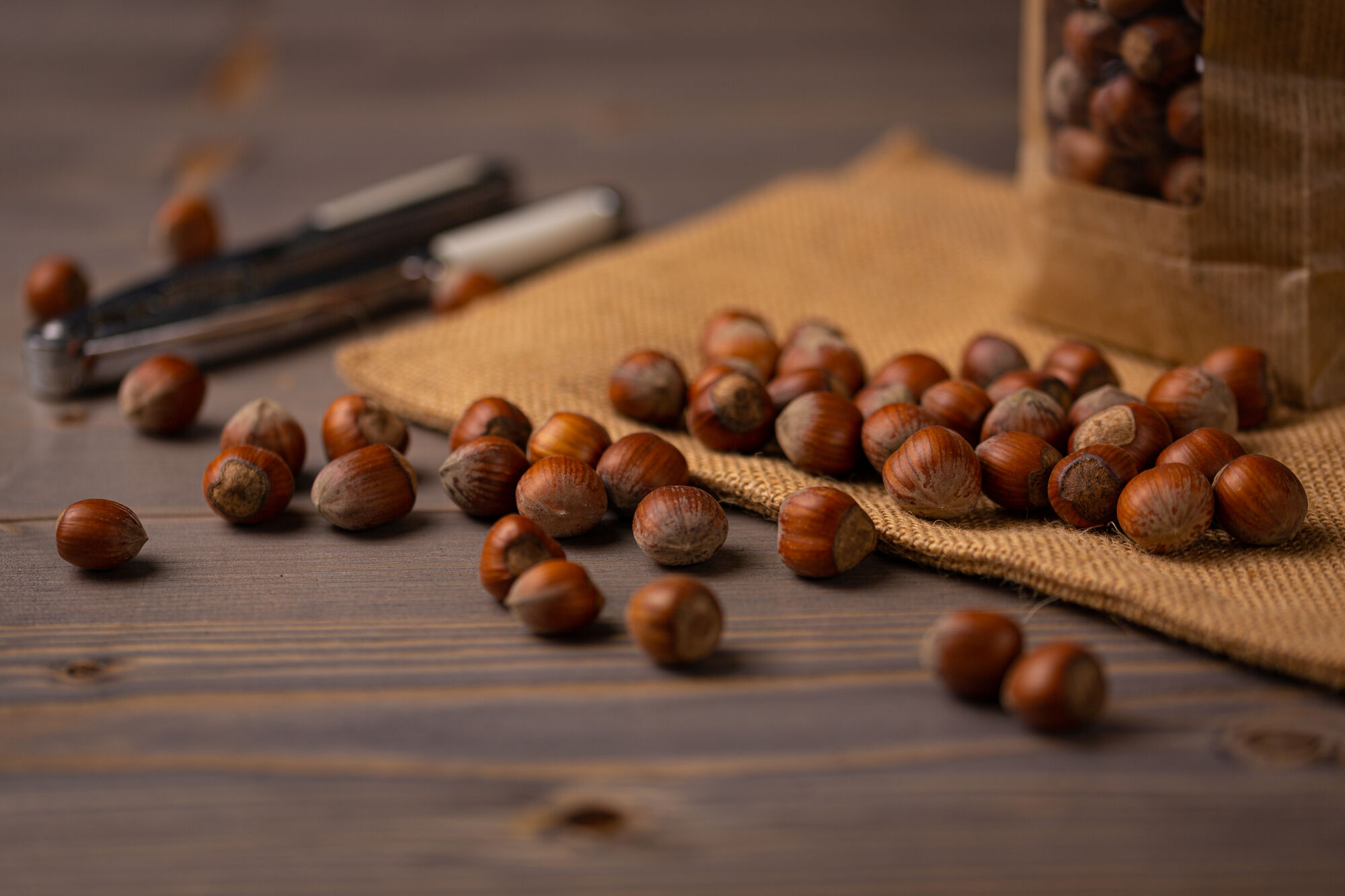 Nocciole Tonda Gentile in guscio su tavolo di legno